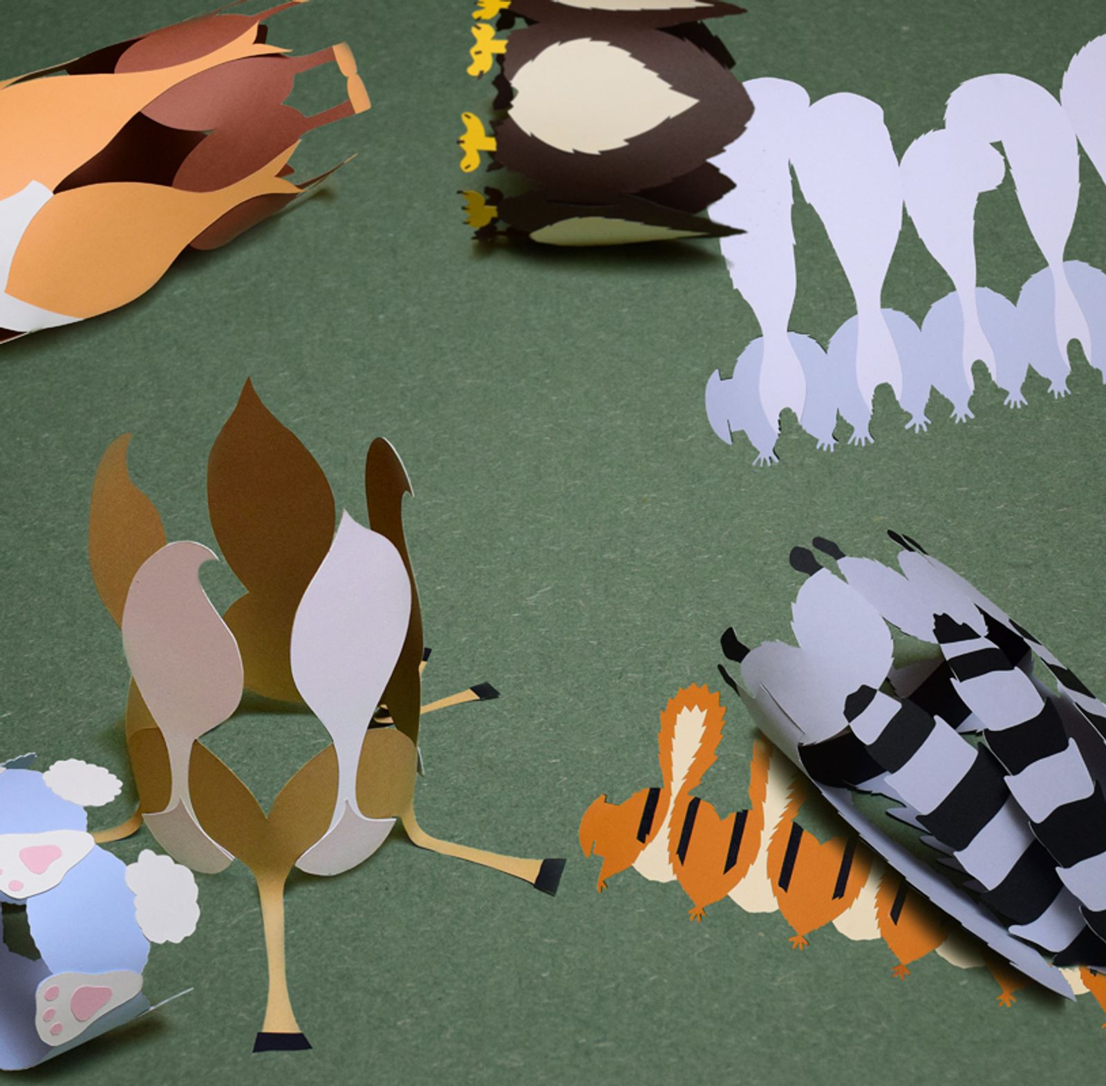 crowns animal butt mess paper